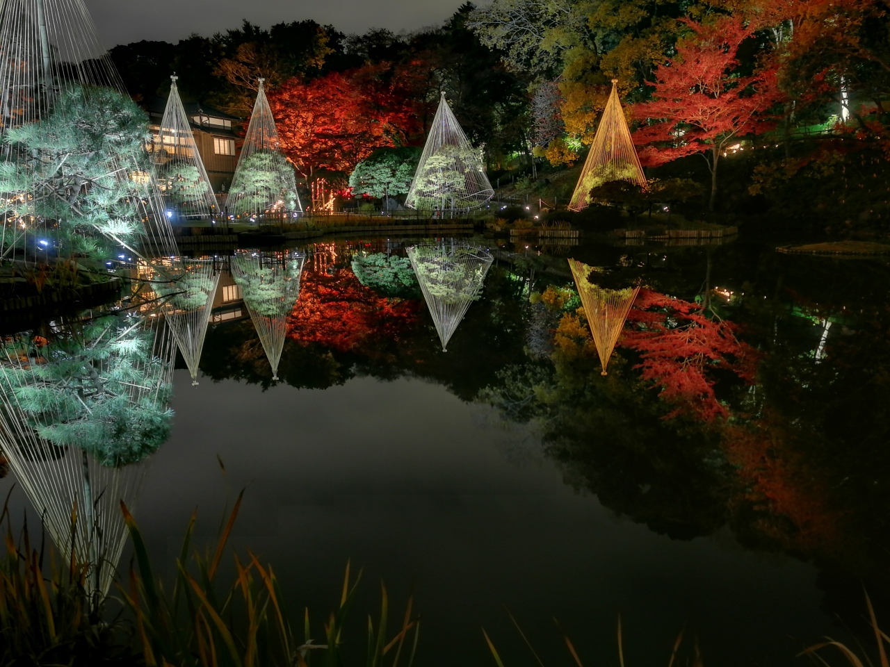 肥後細川庭園2017冬