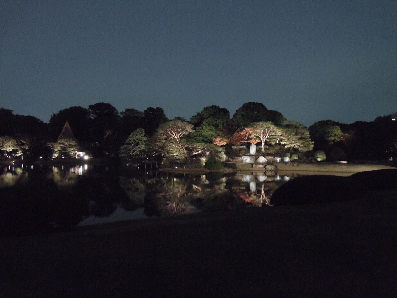 六義園2019ライトアップ