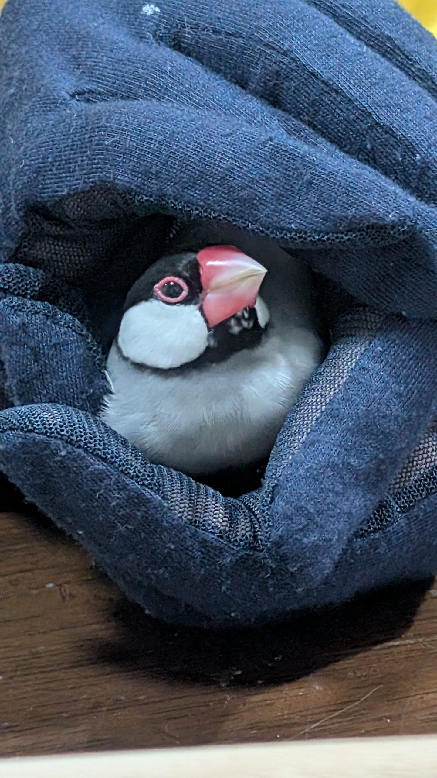 ん
