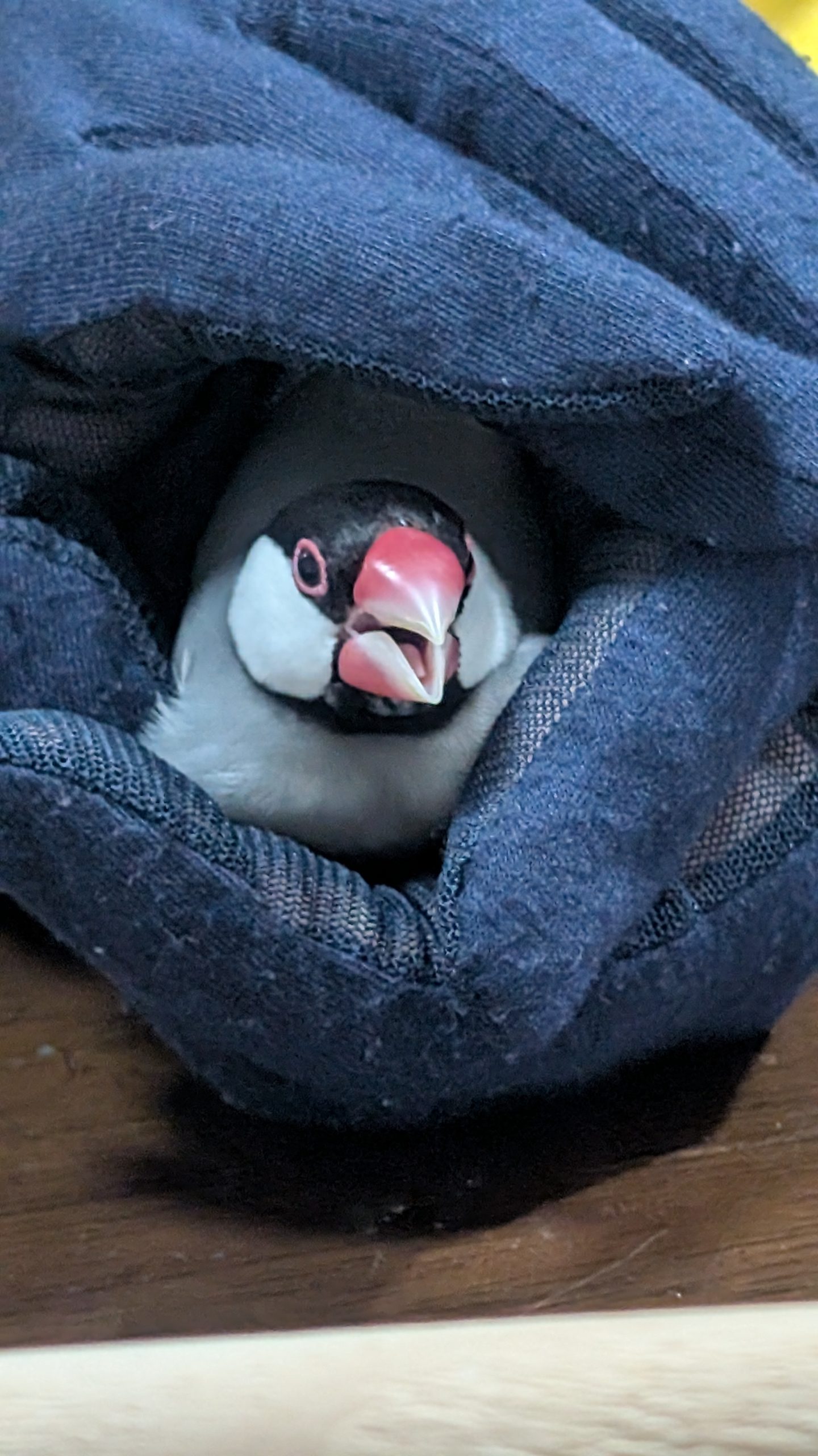 お